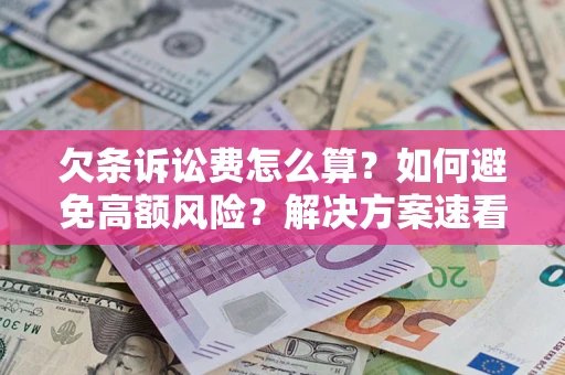 北京欠条诉讼费怎么算？如何避免高额风险？解决方案速看！