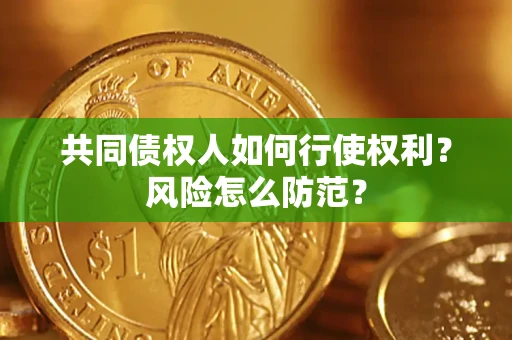 北京共同债权人如何行使权利？风险怎么防范？