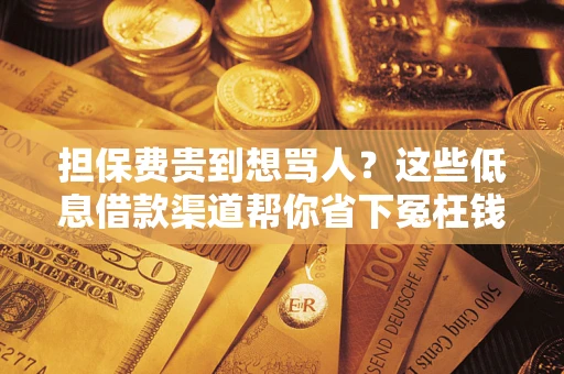 北京担保费贵到想骂人？这些低息借款渠道帮你省下冤枉钱