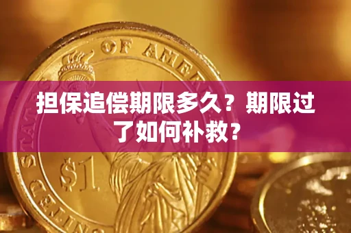北京担保追偿期限多久？期限过了如何补救？